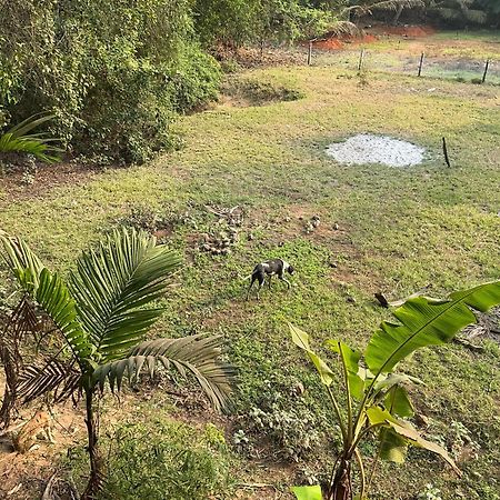 Hostelexp, Gokarna - A Slow-Paced Backpackers Community 외부 사진