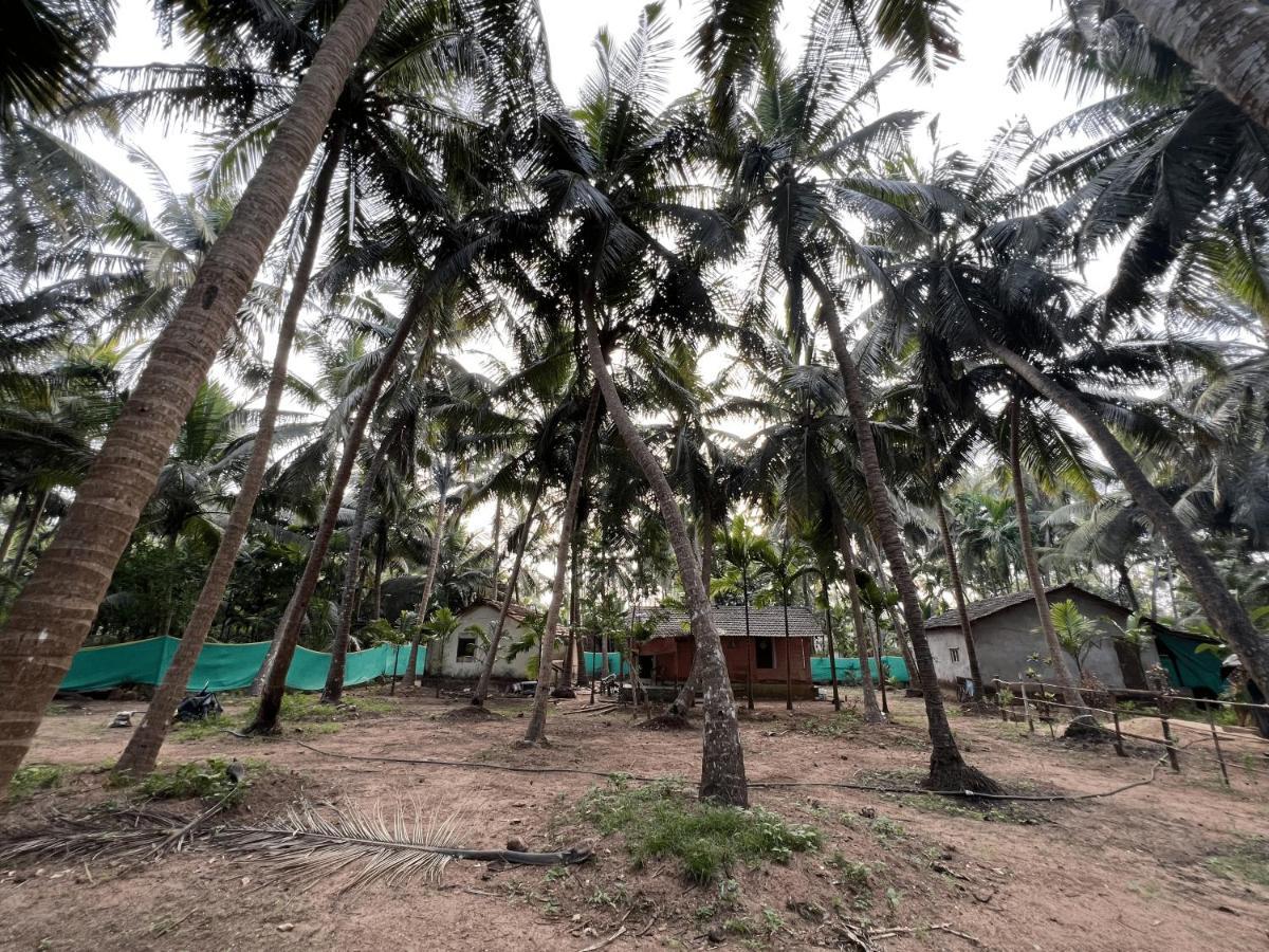 Hostelexp, Gokarna - A Slow-Paced Backpackers Community 외부 사진