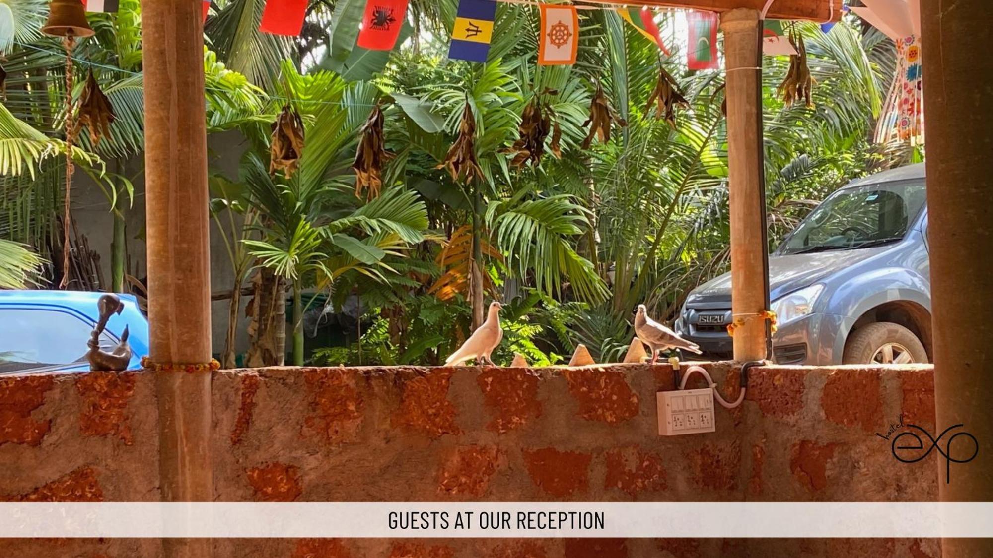 Hostelexp, Gokarna - A Slow-Paced Backpackers Community 외부 사진
