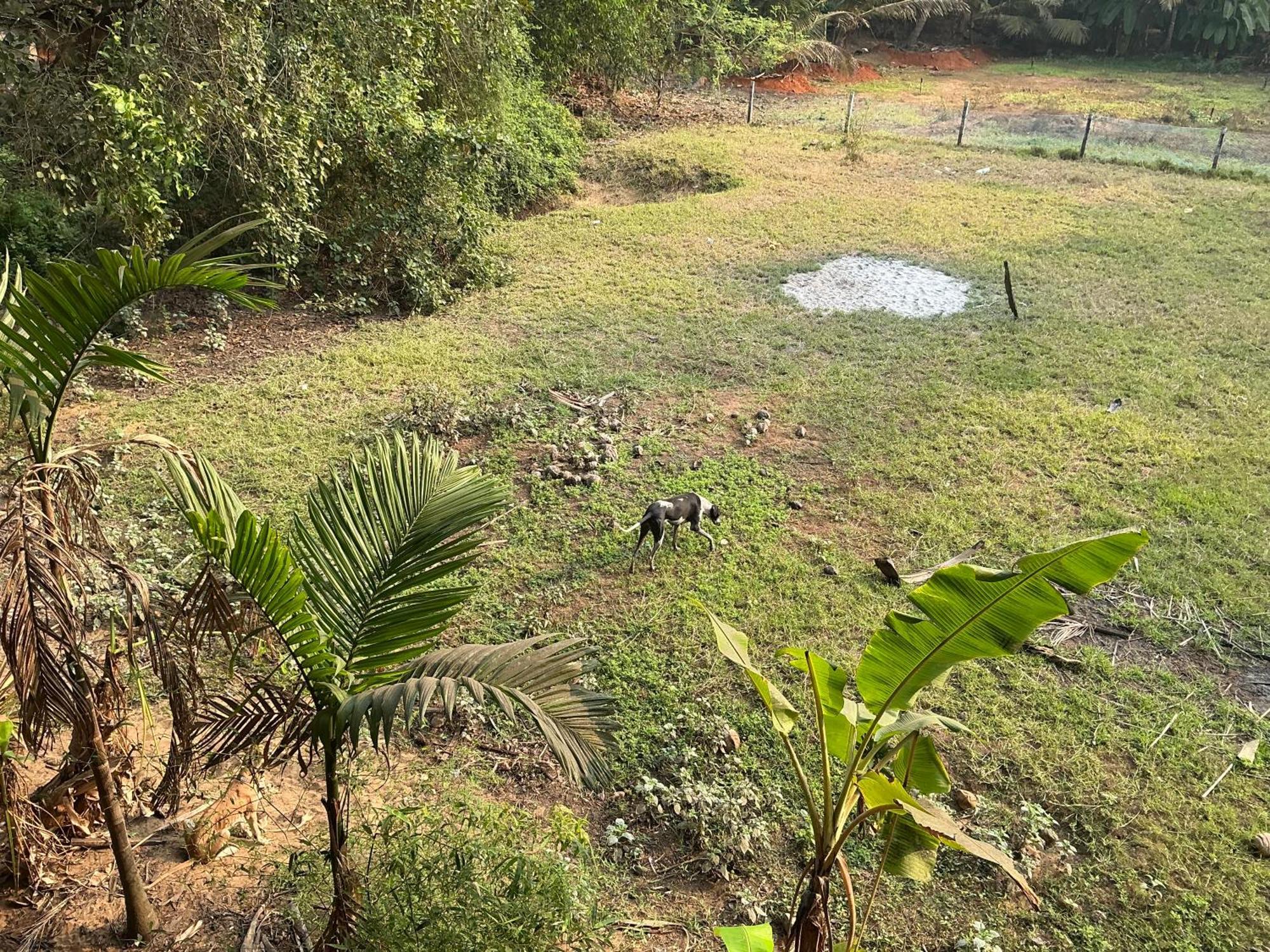 Hostelexp, Gokarna - A Slow-Paced Backpackers Community 외부 사진